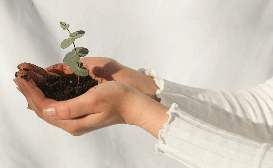 Sustainable Printing Practices for 2026